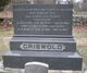 Gravestone of Lafayette Hamilton Griswold, his wife Hope (Ayer) Griswold, and their children Sarah Adelaide (Griswold) Spicer, James A. Griswold and Fannie Elizabeth Griswold