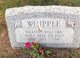 Gravestone of William Welcome Whipple, 1883-1943