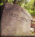 Gravestone of Eunice Ann (Tharp) Whipple, 1831 or 1832 to 1876